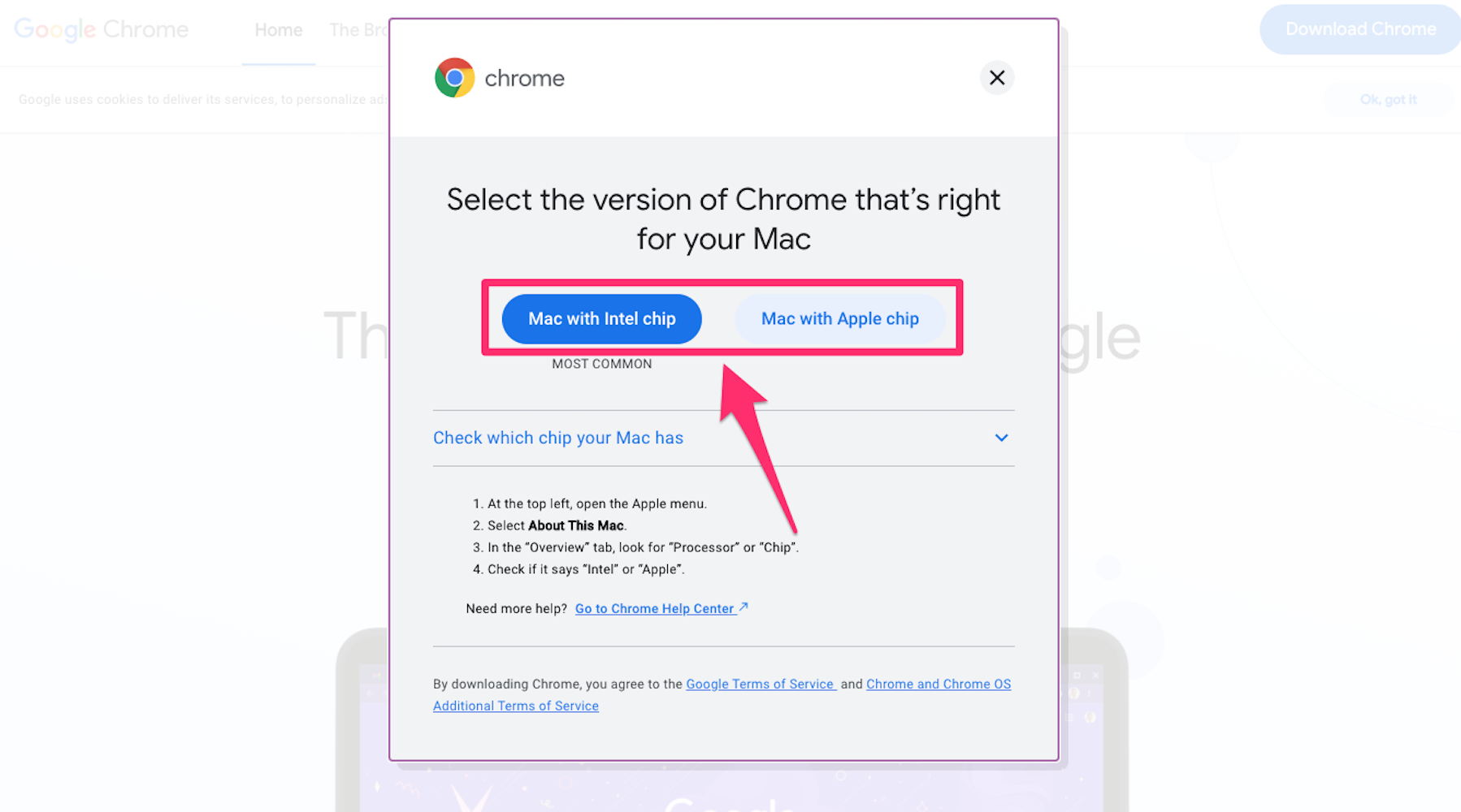 google chrome downloader for mac